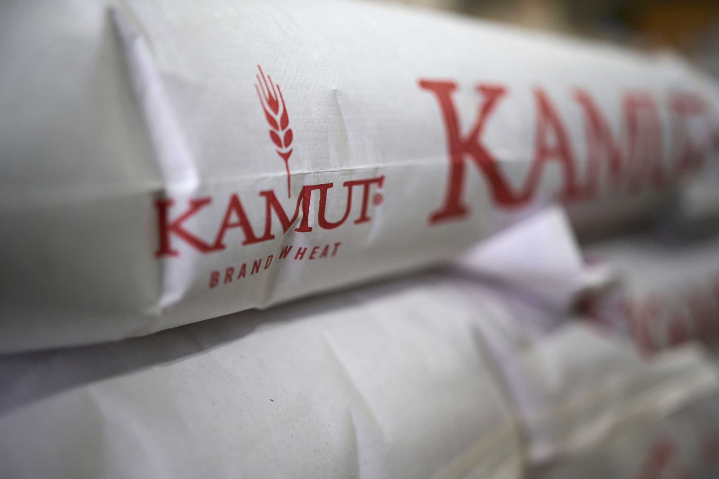 Kamut wheat